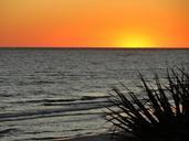 sunsets-sea-silhouette-plants-dark-409495.jpg