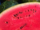 watermelon-fruit-red-green-food-706238.jpg