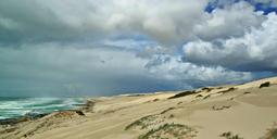 dunes-sand-beach-beach-coast-sand-1139613.jpg