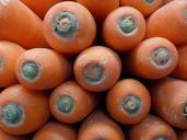 carrots-vegetable-fresh-food-750794.jpg