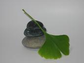 pebble-gingko-zen-947296.jpg