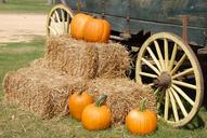 pumpkins-wagon-farm-halloween-fall-1572854.jpg