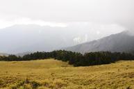 mist-prairie-acacia-hill-landscape-788871.jpg