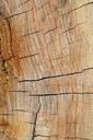 wood-grain-texture-panel-timber-1305470.jpg