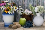 still-life-flowers-vases-836760.jpg