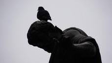 vienna-bird-statue-art-birds-106248.jpg