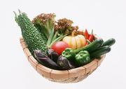 Fresh-vegetables-in-the-basket.jpg