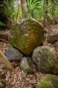 rocks-boulders-basalt-geology-784603.jpg