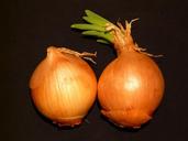 onion-vegetables-sharp-eat-food-5982.jpg