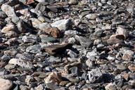 pebble-river-bank-pebbles-nature-1379314.jpg