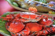 crabs-seafood-sea-palawan-fresh-601429.jpg