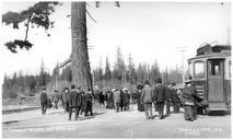 Streetcar_#36_at_Stanley_Park._VPL_7721.jpg