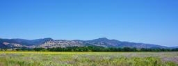 napa-valley-856045_1920.jpg