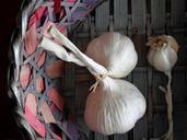 garlic-trash-food-aromatic-white-139677.jpg