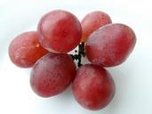 grapes-red-frisch-wet-670930.jpg