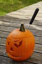 pumpkin-halloween-autumn-orange-1004985.jpg