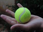 ball-green-tennis-455839.jpg