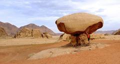 mushroom-desert-jordan-522531.jpg