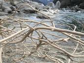 driftwood-river-dry-riverbed-babble-1674668.jpg