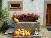 trough-floral-decorations-pumpkins-63782.jpg