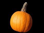 pumpkin-vegetable-pumpkins-387523.jpg