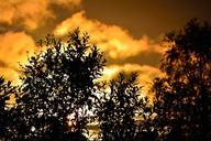 sun-trees-silhouettes-twilight-405767.jpg