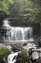 Waterfalls-in-Ricketts-Glen-State-Park.jpg