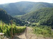 vineyards-sky-winegrowing-nature-537803.jpg