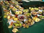 apples-fruit-fruits-pomology-954924.jpg