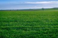 horizon-green-wallpaper-cultivation-1081188.jpg