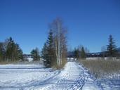 winter-snow-footprints-away-birch-278288.jpg