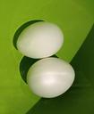 eggs-bowl-water-green-white-433692.jpg