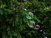 bubbles-day-kids-1433661.jpg