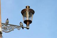 lamp-street-lamp-light-fitting-76540.jpg