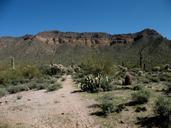 desert-cactus-nature-landscape-dry-417042.jpg