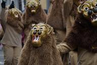 lion-tiermaske-animals-641265.jpg