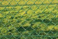 fence-wire-mesh-fence-green-229433.jpg