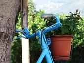 bicycle-blue-rose-vintage-1004183.jpg