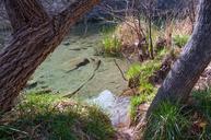 Fossil_Creek_Wild_and_Scenic_River.jpg