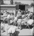 Turlock,_California._Baggage_is_inspected_as_families_arrive_at_Turlock_assembly_center._Evacuees_._._._-_NARA_-_537648.jpg