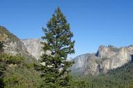 valley-vegetation-incense-cedar-1049592.jpg