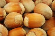 nuts-hazelnuts-fruit-healthy-food-1012904.jpg