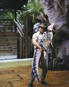 alligator-wrestler-man-dangerous-729451.jpg