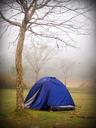 camp-tent-tree-forrest-outdoor-1551078.jpg