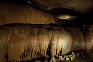 Cathedral Caverns, Scottsboro, Alabama LCCN2010638296.tif.tiff