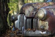 classic-car-holden-grill-car-582812.jpg