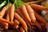 carrots-vegetables-vegetable-garden-673201.jpg