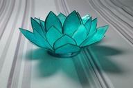 water-lily-glass-light-blue-656996.jpg