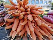 carrots-vegetables-carrot-frisch-68790.jpg