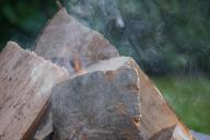 fire-campfire-adventure-wood-smoke-846153.jpg